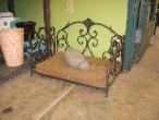 Pet Beds