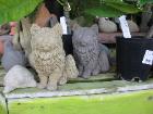 Kitty Statues
